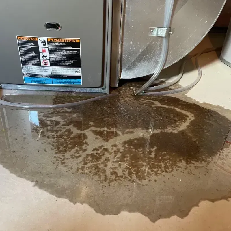 Appliance Leak Cleanup in Millersburg, PA